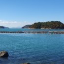 미스티크 이미지