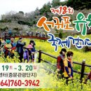 유채하우스 이미지