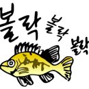 미라벨 제주 이미지