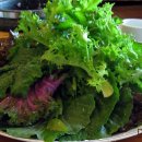 영영쌈밥 이미지