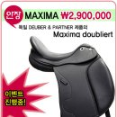 독일 Maxima 안장 이미지