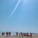 해안도시 | [이탈리아 여행] 세르비아 Cervia | 아드리아해를 품은 해안 소도시 : 해변 방문 후기