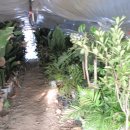 둘리 농장 이미지