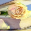 포천시청 민원실 이미지