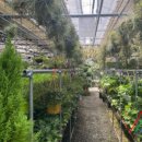 보물마트 이미지