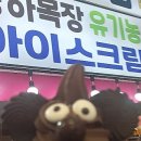 재전목장 네이버블로그