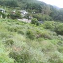 물안개펜션 이미지