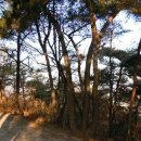 (산문) 송년 산행 북한산 밟기(12월) 이미지
