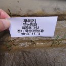 최안열 Daum카페