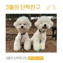 털로 덮인 친구들 이미지