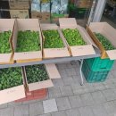 진주팜농약 이미지