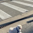 샵 세린파크 이미지