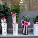 현이네전집 이미지