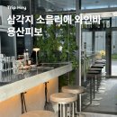 피보 | 직원 모두가 소믈리에로 구성된 삼각지 와인바 용산피보(PIVO) 맛집 인정 후기
