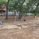 옹암해변주차장 네이버블로그