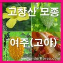 잠이요침구 이미지