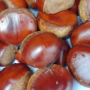 대별농장 이미지