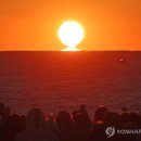 서생면행정복지센터 이미지