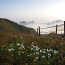 아름다운삶 이미지