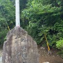 힐링가평오토캠핑장 | 서울 근교에서 제대로 힐링했던🏕️가평랜드캠핑장 후기