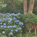 그때 그 펜션 이미지