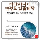 고품질식재료 이도에프앤비의 자사몰인[이도에프앤비]연평도 암꽃게 구매후기!
