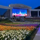 아트미의원 | 2026 상반기+@..