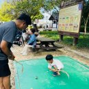 파란나무유치원 | 인천 월미도 아이와 가볼만한 곳 월미공원 전통정원