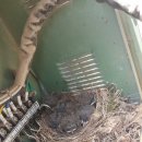 산너미농장 이미지