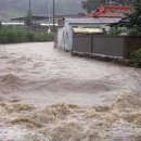 심정농장 이미지