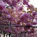 제일주유소 공중화장실 이미지