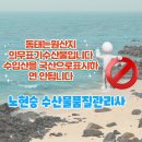 현순자용대리코다리찜