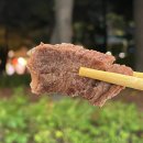 해나루게임존 | 여기 대전야외한우 맛집, 음악 맛집이었네? 2024 우리농수축산물큰잔치 대전세종충청 푸드페스타 내돈내산