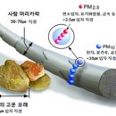 황사 위기경보 (관심) 부모 사전 안내 이미지