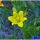 디저트 인 이미지