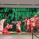 방주동물병원 | 어떤 이야기가 마음에 드세요...신도, 삶도 믿지 않는다면/라이프 오브 파이 연극