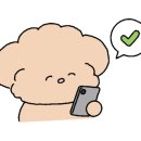 오늘안주 네이버블로그