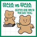[아트센터달][할인](주2회)소도구 활용한 파워 다이어트 체형교정 필라테스(월, 금) | [영등포24시/헬스] 유산소 vs 무산소 효과적인 운동 계획 및 목표 달성 가이드 !!