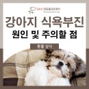 24시연동물의료센터 이미지