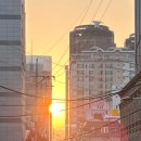 우쿠야강남 이미지