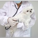 전주가축약품 이미지