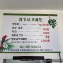 아기새조류원