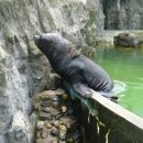 서울대공원 이미지