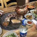 도민상회월정점