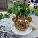 힐링원예지도사 이미지