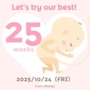 서현로180번길 이미지