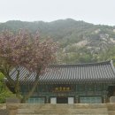 보성복전문 이미지