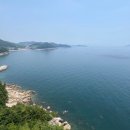 남해보물섬전망대[2층클리프힐] | [남해 보물섬전망대] 스카이워크 공중샷 성공 비결 & 오션뷰 명당 선점 요약