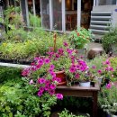 마더스 가든 이미지