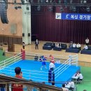 엘리트 복싱 Gym 이미지